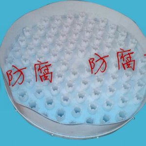 异形管件及插入管2