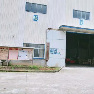 大川风采