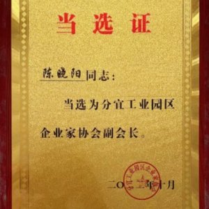 荣誉展示